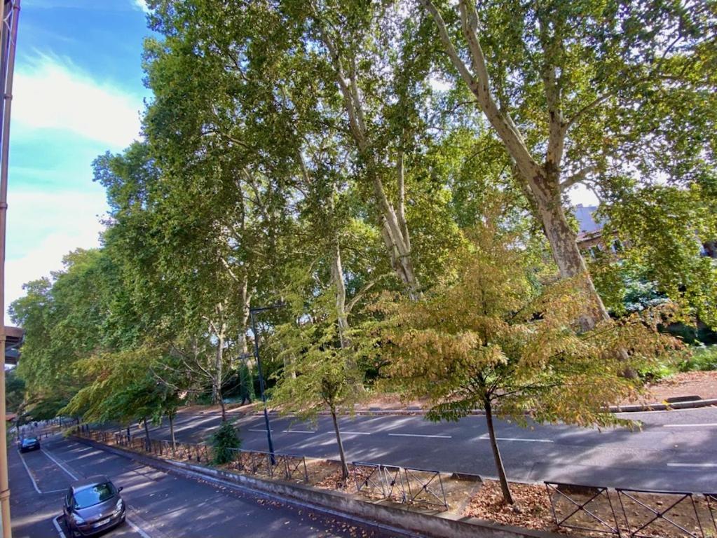 Appartement Refait A Neuf Centre Ville Toulouse Kültér fotó